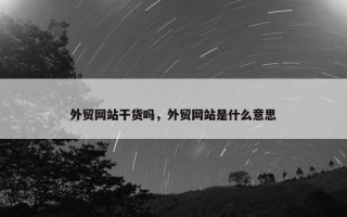 外贸网站干货吗，外贸网站是什么意思
