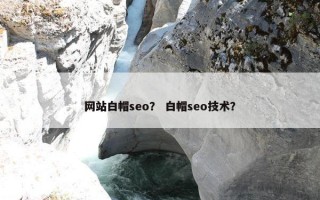 网站白帽seo？ 白帽seo技术？