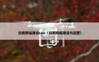 日照网站建设seo（日照网站建设与运营）