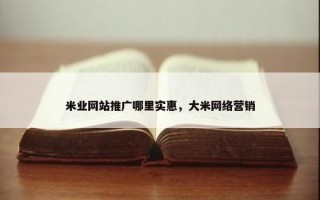 米业网站推广哪里实惠，大米网络营销