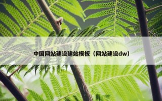 中国网站建设建站模板（网站建设dw）