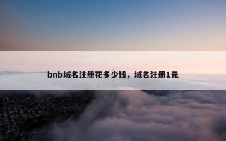 bnb域名注册花多少钱，域名注册1元