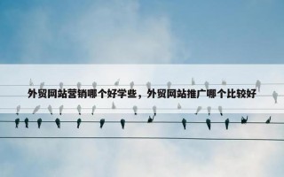 外贸网站营销哪个好学些，外贸网站推广哪个比较好