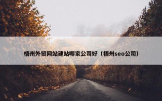 梧州外贸网站建站哪家公司好（梧州seo公司）