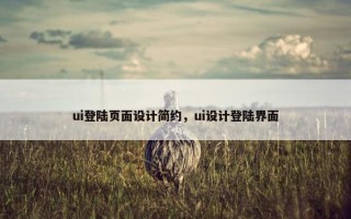 ui登陆页面设计简约，ui设计登陆界面
