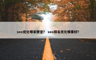 seo优化哪家便宜？ seo排名优化哪里好？