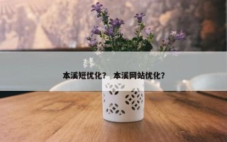 本溪短优化？ 本溪网站优化？