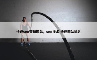 快速seo营销网站，seo技术 快速网站排名