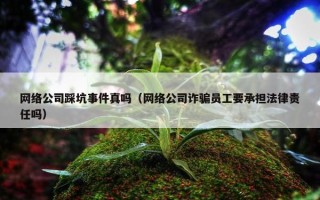 网络公司踩坑事件真吗（网络公司诈骗员工要承担法律责任吗）
