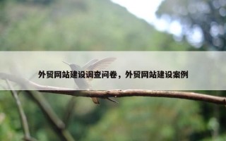 外贸网站建设调查问卷，外贸网站建设案例