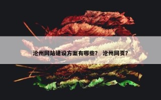 沧州网站建设方案有哪些？ 沧州网页？