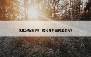 优化分析案例？ 优化分析案例怎么写？