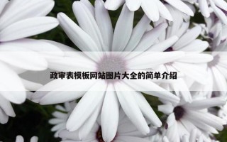 政审表模板网站图片大全的简单介绍
