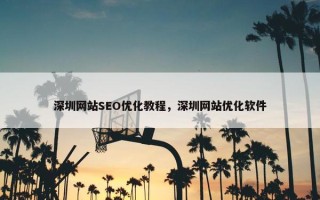 深圳网站SEO优化教程，深圳网站优化软件
