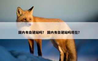 国内有自建站吗？ 国内有自建站吗现在？