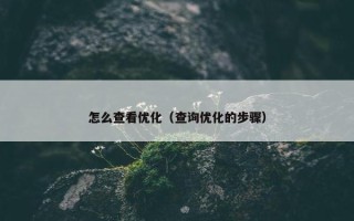 怎么查看优化（查询优化的步骤）