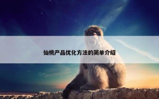 仙桃产品优化方法的简单介绍