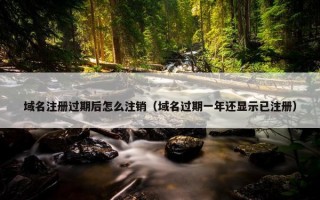 域名注册过期后怎么注销（域名过期一年还显示已注册）
