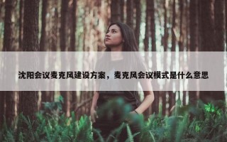 沈阳会议麦克风建设方案，麦克风会议模式是什么意思