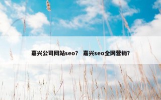 嘉兴公司网站seo？ 嘉兴seo全网营销？