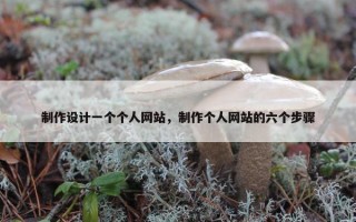 制作设计一个个人网站，制作个人网站的六个步骤