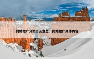 网站推广分类什么意思，网站推广具体内容