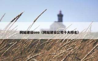 网站建设seo（网站建设公司十大排名）