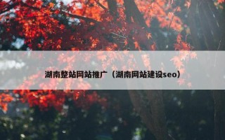 湖南整站网站推广（湖南网站建设seo）
