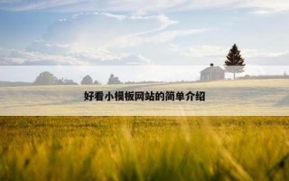 好看小模板网站的简单介绍