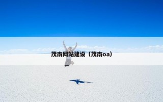 茂南网站建设（茂南oa）