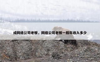 成网络公司老板，网络公司老板一般年收入多少
