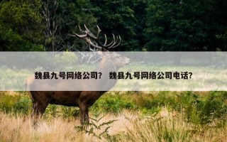 魏县九号网络公司？ 魏县九号网络公司电话？
