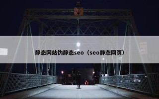 静态网站伪静态seo（seo静态网页）