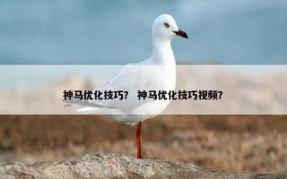 神马优化技巧？ 神马优化技巧视频？