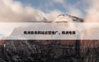 株洲商务网站运营推广，株洲电商