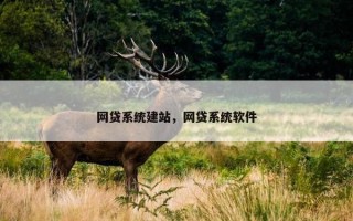 网贷系统建站，网贷系统软件