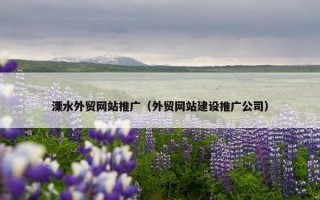 溧水外贸网站推广（外贸网站建设推广公司）