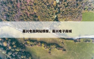嘉兴电商网站模板，嘉兴电子商城