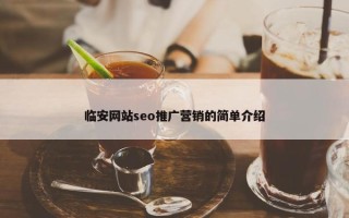 临安网站seo推广营销的简单介绍