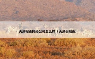 天津榴莲网络公司怎么样（天津买榴莲）