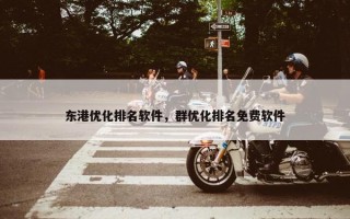 东港优化排名软件，群优化排名免费软件