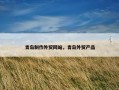 青岛制作外贸网站，青岛外贸产品