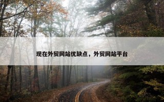 现在外贸网站优缺点，外贸网站平台