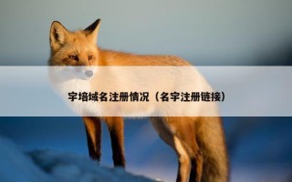 宇培域名注册情况（名宇注册链接）