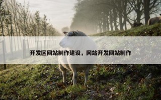 开发区网站制作建设，网站开发网站制作