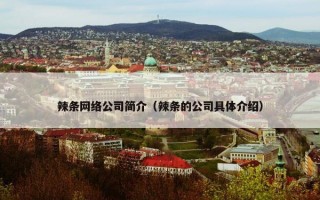 辣条网络公司简介（辣条的公司具体介绍）