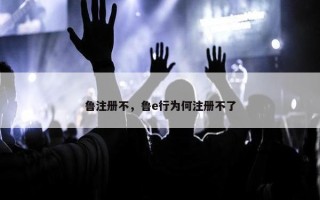 鲁注册不，鲁e行为何注册不了
