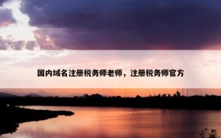 国内域名注册税务师老师，注册税务师官方