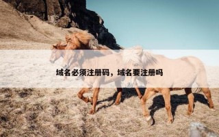 域名必须注册码，域名要注册吗