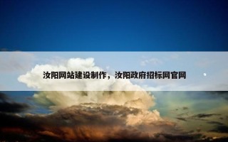 汝阳网站建设制作，汝阳政府招标网官网